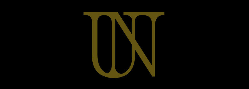 NEO Universe